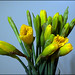 Janice Trader Photo 8