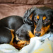 Maggie Sweet Photo 17
