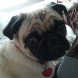 Melissa Barrow Photo 7