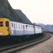 Virginia Cowley Photo 8