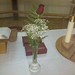 Tracey Stone Photo 5