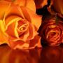 Teresa Dubose Photo 14