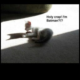 Lisa Nowak Photo 10