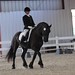 Shelly Siegel Photo 10