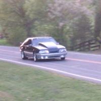 Dale Burris Photo 15