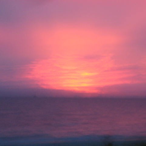 Sylvia Davis Photo 9