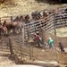 Terri Hicks Photo 19