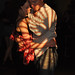 Nathan Carr Photo 9