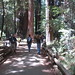 Carrie Peters Photo 22