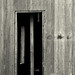 Joseph Doyle Photo 32