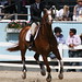 Anne Wright Photo 34