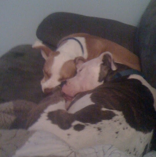 Shelley Ross Photo 10