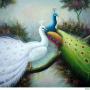 Paula Peacock Photo 34