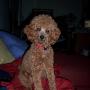 Janet Welsh Photo 38