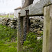 Norman Woodcock Photo 10