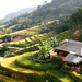 Thang Hoang Photo 14