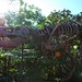 Sue Hendrickson Photo 8
