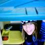 Mary Everett Photo 7
