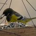 Scott Conover Photo 7