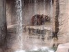 Darryl Daniel Photo 33