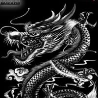Thinh Ha Photo 22