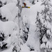 Martin Callaghan Photo 10