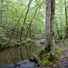 Jack Branch Photo 19