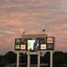 Virginia Goodrich Photo 12