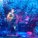 Richard Benson Photo 31