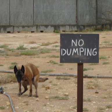 Mark Chandler Photo 6