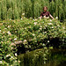Tanya Bridges Photo 12