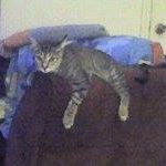 Alice Loomis Photo 15