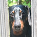 Jimmy Dean Photo 7