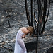 Dana Forrest Photo 18