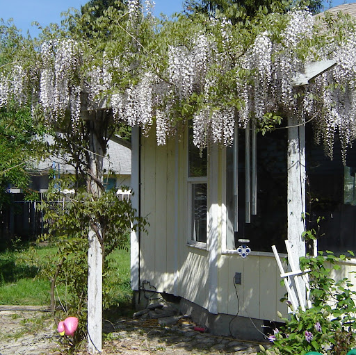 Karen Clement Photo 31