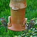Deborah Sparrow Photo 15