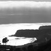 Linda Parks Photo 10