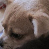 Millie Lamb Photo 4