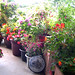 Janice Flowers Photo 18