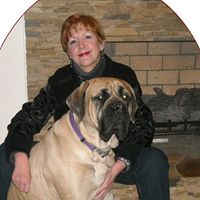 Jill Mcmahon Photo 25