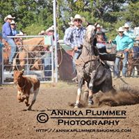 Jason Schaffer Photo 25