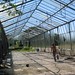 Robyn Greenhouse Photo 2