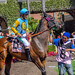 Steven Henricks Photo 14