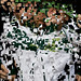 Justin Block Photo 20