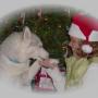 Holly Petersen Photo 29