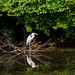 Gary Blatt Photo 7