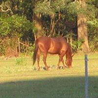Patricia Boardman Photo 7
