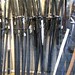 Doris Sword Photo 3