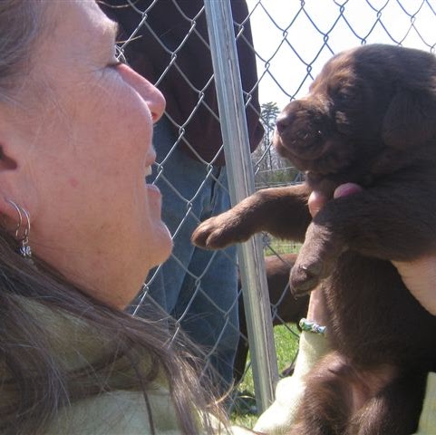 Susan Tomlinson Photo 12