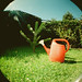 Cecilia Sandoval Photo 23